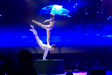 夢(mèng)蝶