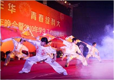 太極扇武術(shù)表演